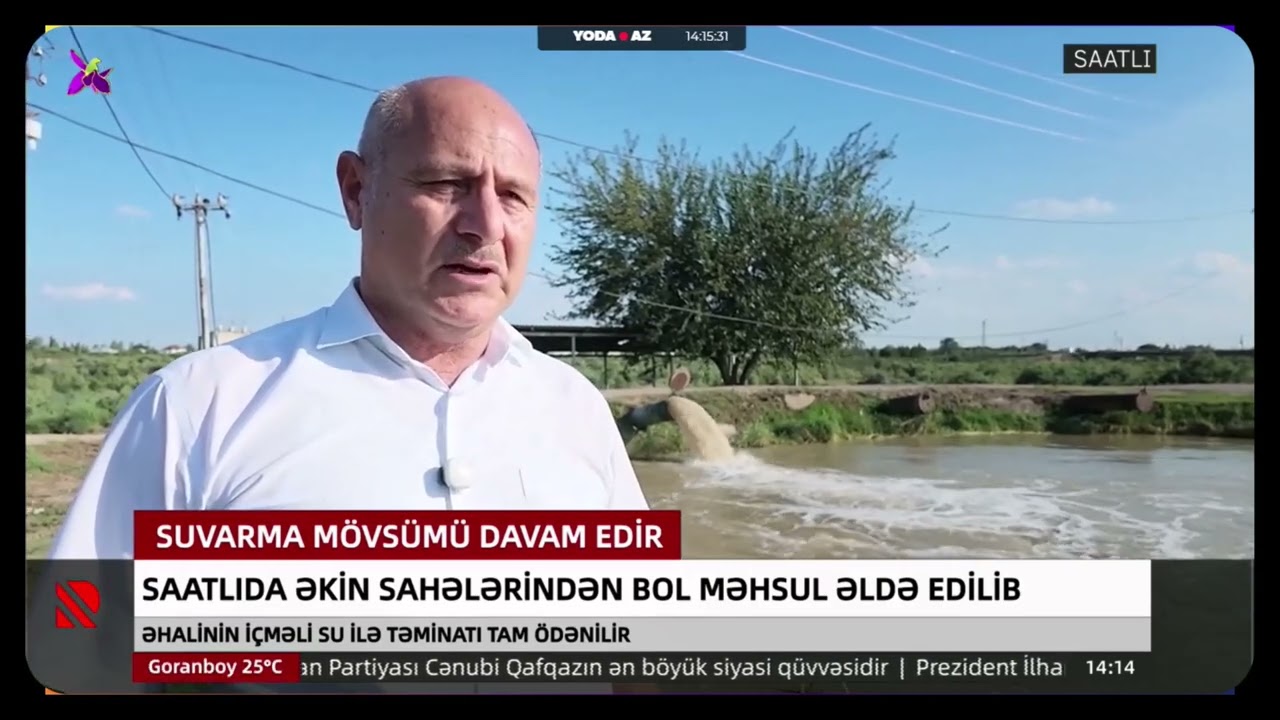 Saatlıda əkin sahələrində bol məhsul əldə edilib