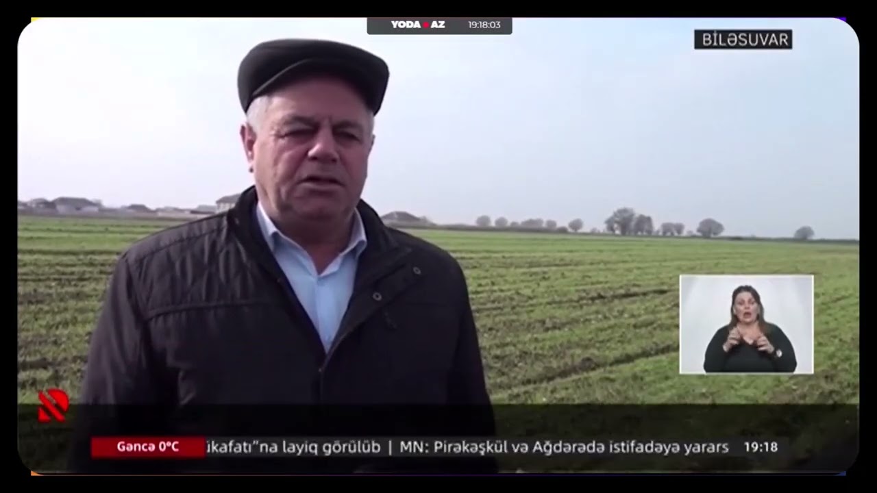 Biləsuvarda 2025-ci ildə əkin sahələri bol məhsul əldə edib